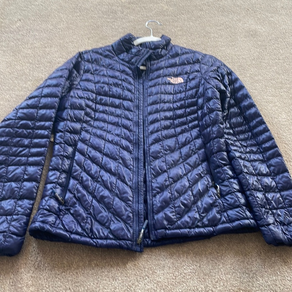 The nort face jacket